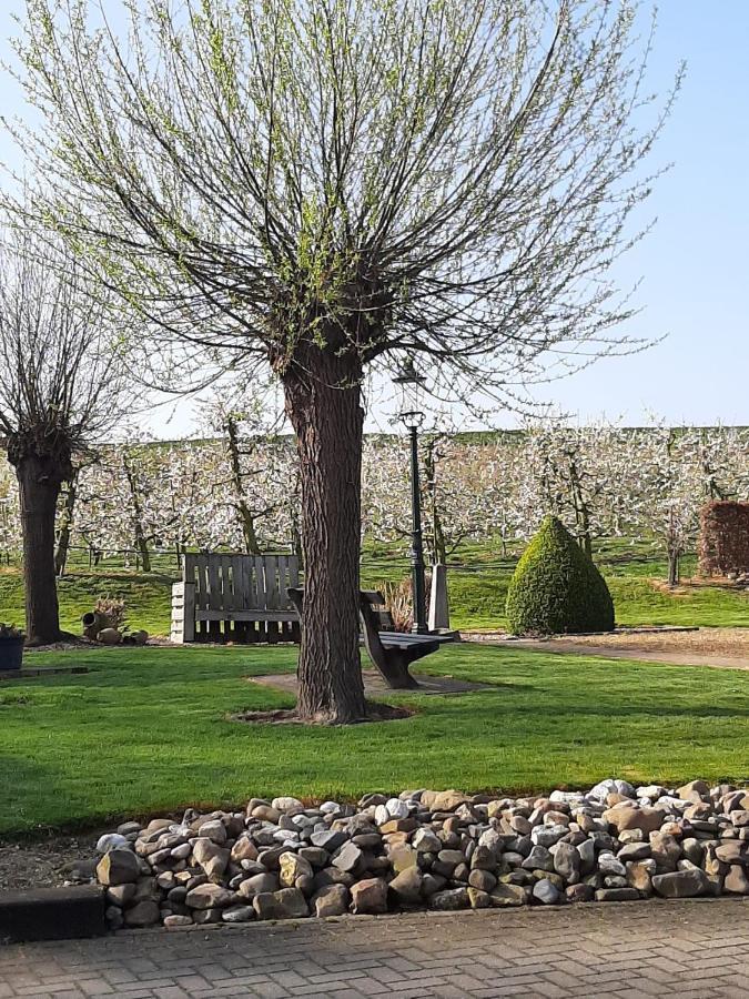 Vroeleneind Βίλα Noorbeek Εξωτερικό φωτογραφία